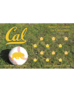 Cal Berkeley Bears College Vinyl Team Banner Live Designer