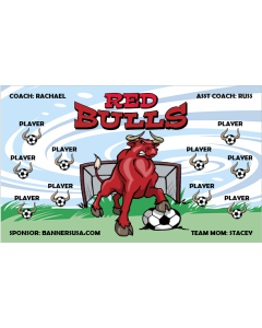 Red Bulls Soccer 13oz Vinyl Team Banner DIY Live Designer
