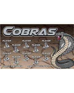 Cobras Soccer 13oz Vinyl Team Banner DIY Live Designer