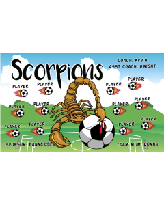 Scorpions Soccer 13oz Vinyl Team Banner DIY Live Designer
