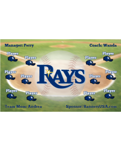 Rays Baseball 13oz Vinyl Team Banner DIY Live Designer