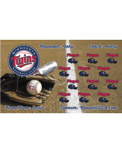Twins Baseball 13oz Vinyl Team Banner DIY Live Designer