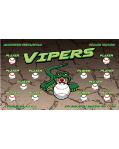 Vipers Baseball 13oz Vinyl Team Banner DIY Live Designer