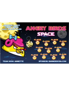Angry Birds Space Softball Vinyl Team Banner Live Designer