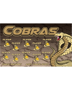 Cobras Softball 13oz Vinyl Team Banner DIY Live Designer