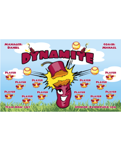 Dynamite Softball 13oz Vinyl Team Banner DIY Live Designer