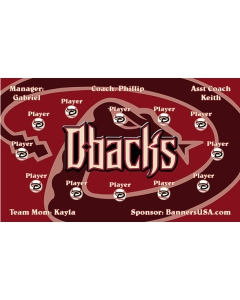 Diamond Backs Major League 13oz Vinyl Team Banner DIY Live Designer