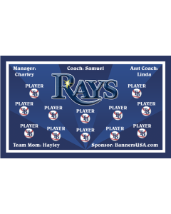 Rays Major League 13oz Vinyl Team Banner DIY Live Designer