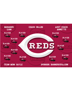 Reds Major League 13oz Vinyl Team Banner DIY Live Designer