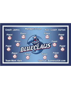 Blue Claws Minor League Vinyl Team Banner Live Designer