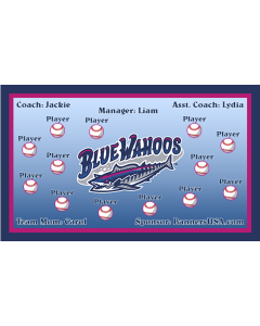 Blue Wahoos Minor League Vinyl Team Banner Live Designer