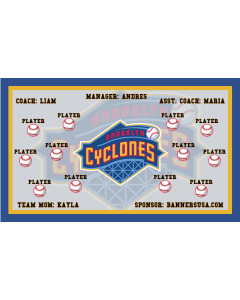 Cyclones Minor League Vinyl Team Banner Live Designer