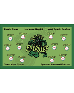 Emeralds Minor League Vinyl Team Banner Live Designer