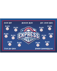 Express Minor League Vinyl Team Banner Live Designer
