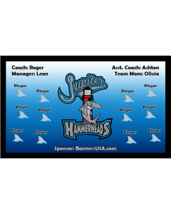 Hammerheads Minor League 13oz Vinyl Team Banner DIY Live Designer