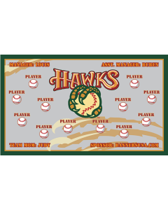 Hawks Minor League 13oz Vinyl Team Banner DIY Live Designer