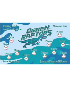 Raptors Minor League 13oz Vinyl Team Banner DIY Live Designer