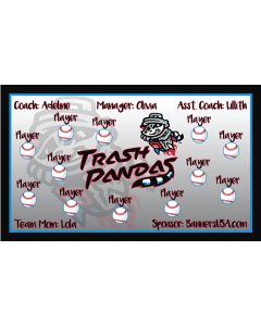 Trash Pandas Minor League 13oz Vinyl Team Banner DIY Live Designer