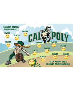 Cal Poly Mustangs College 13oz Vinyl Team Banner DIY Live Designer