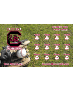 Carolina Gamecocks College 13oz Vinyl Team Banner DIY Live Designer