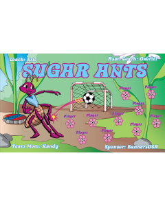 Sugar Ants Soccer Vinyl Team Banner E-Z Order