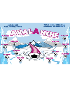 Avalanche Soccer Vinyl Team Banner E-Z Order