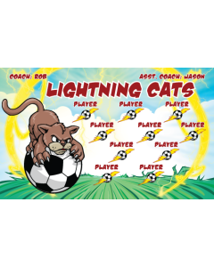 Lightning Cats Soccer 13oz Vinyl Team Banner E-Z Order