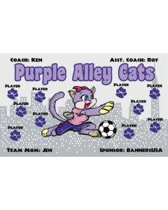 Purple Alley Cats Soccer 13oz Vinyl Team Banner E-Z Order