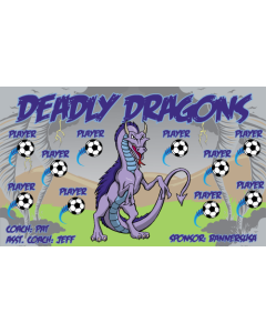 Deadly Dragons Soccer 13oz Vinyl Team Banner E-Z Order