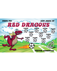 Red Dragons Soccer 13oz Vinyl Team Banner E-Z Order