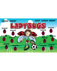 Ladybugs Soccer 13oz Vinyl Team Banner E-Z Order