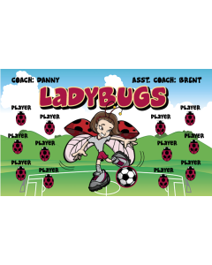 Ladybugs Soccer 13oz Vinyl Team Banner E-Z Order