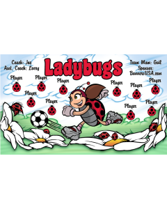 Ladybugs Soccer 13oz Vinyl Team Banner E-Z Order