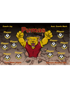 Pumas Soccer 13oz Vinyl Team Banner E-Z Order