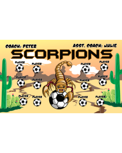 Scorpions Soccer 13oz Vinyl Team Banner E-Z Order