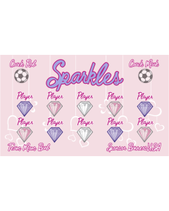 Sparkles Soccer 13oz Vinyl Team Banner E-Z Order