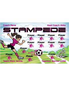 Stampede Soccer 13oz Vinyl Team Banner E-Z Order