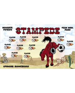 Stampede Soccer 13oz Vinyl Team Banner E-Z Order