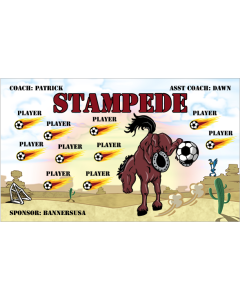 Stampede Soccer 13oz Vinyl Team Banner E-Z Order
