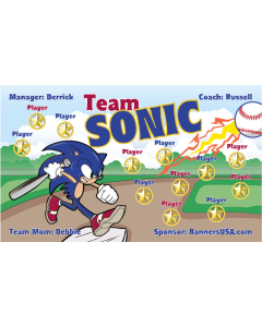 Team Sonic Baseball 13oz Vinyl Team Banner E-Z Order