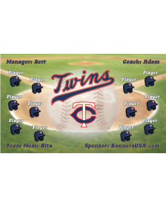Twins Baseball 13oz Vinyl Team Banner E-Z Order