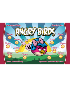 Angry Birds Softball Vinyl Team Banner E-Z Order