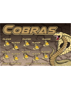 Cobras Softball 13oz Vinyl Team Banner E-Z Order
