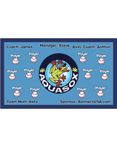 Aqua Sox Minor League Vinyl Team Banner E-Z Order
