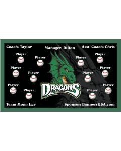 Dragons Minor League Vinyl Team Banner E-Z Order