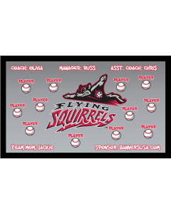 Flying Squirrels Minor League Vinyl Team Banner E-Z Order