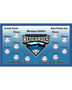 Renegades Minor League 13oz Vinyl Team Banner E-Z Order