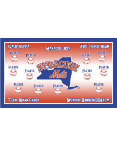Syracuse Mets Minor League 13oz Vinyl Team Banner E-Z Order