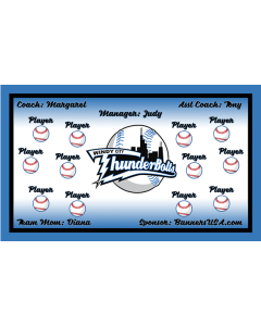 Thunderbolts Minor League 13oz Vinyl Team Banner E-Z Order