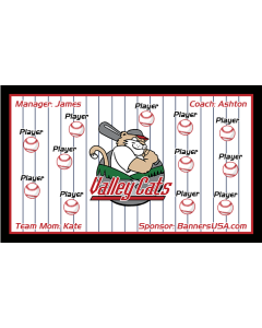 Valley Cats Minor League 13oz Vinyl Team Banner E-Z Order